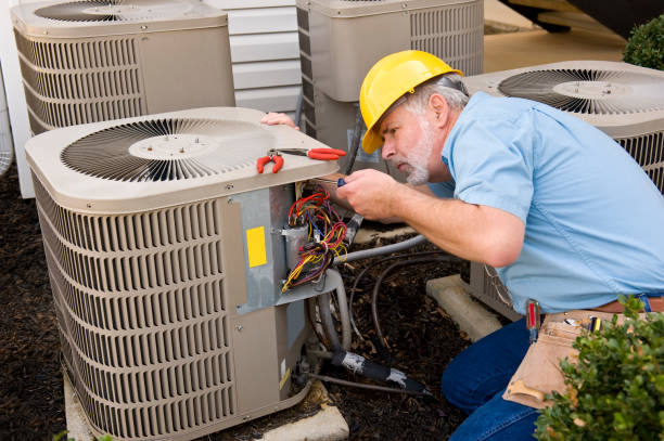 Best Affordable HVAC services  in Dolan Springs, AZ