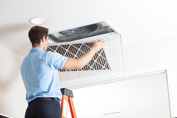 Best HVAC air duct cleaning  in Dolan Springs, AZ